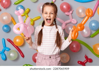 Extremely excited festive little girl  with pigtails standing against gray decorated colorful wall holding balloons in hands screaming hurray celebrating birthday.