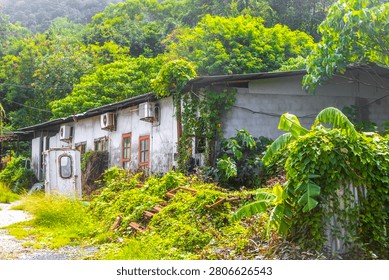 Extremely high converting stock visual showing dramatic resort collapse and jungle domination in Patong Beach Kathu District Phuket Island Province Southern Thailand in Southeast Asia.