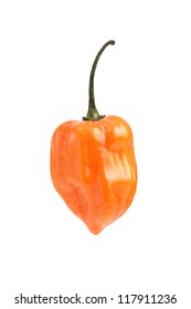 Extremely Hot Habanero Pepper, On White Background