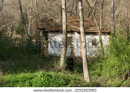 An extremely old primitive water mill, which is slowly collapsing on its own, is located in the forest and overgrown with bushes and trees on a sunny spring day