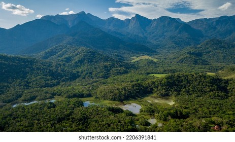 The exuberant Atlantic Forest within the protected area of the Guapiaçu Ecological Reserve, in the metropolitan region of Rio de Janeiro. - Shutterstock ID 2206391841