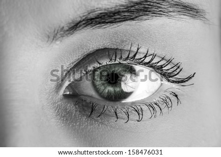 Similar – eye droplets Eyes Eyelash