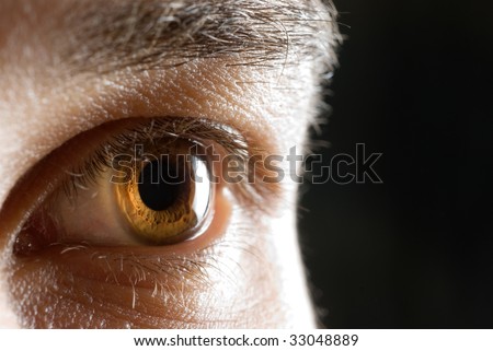 eye