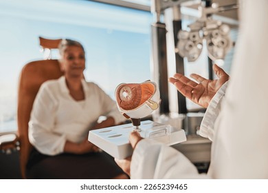 Eye anatomy model, doctor consultation and eyes exam for senior health in a clinic. Optometrist, elderly woman patient and consulting healthcare worker explaining vision test results for elder care - Powered by Shutterstock