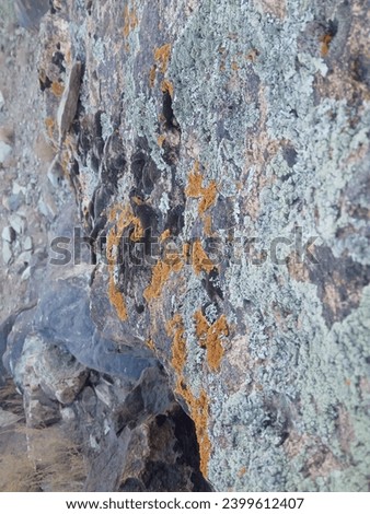 eye catchy and beautiful stone images collections Stock photo © 
