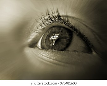 Eye Of The Child Close-up, With The Reflection Of The Window