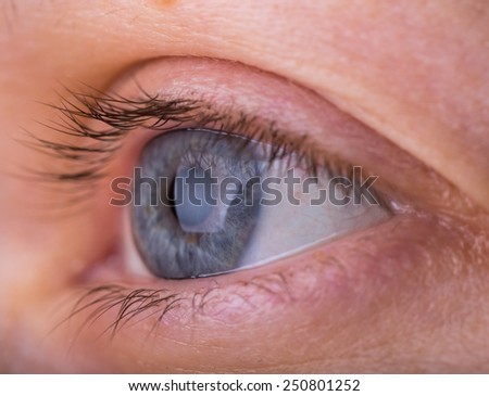 Similar – My look Eyelash Pupil