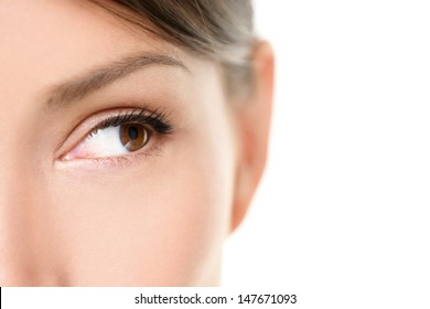 Eye Close Up - Brown Eyes Looking To Side Isolated On White Background. Mixed Race Asian Caucasian Woman Looking Sideways. Closeup Of Brown Female Eye.