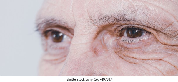 Eye Detail  And Wrinkles Of A Senior Male