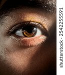 The eye in the human. 