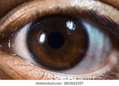 eye, human, macro, iris, vision