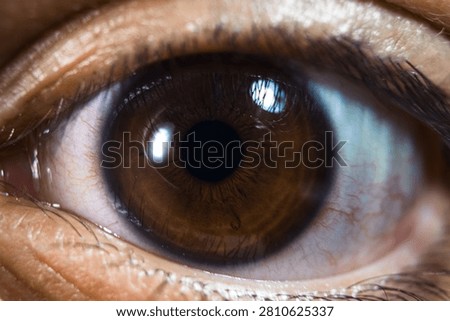 eye, human, macro, iris, vision