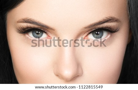 Eye lashes close up macro lashes extensions woman isolated on white 