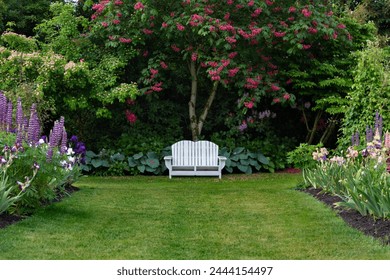 An eye level perspective of English style garden path of mowed lawn, blooming mixed flower beds, blooming trees, and white Adirondack garden bench, daytime, no sky - Powered by Shutterstock