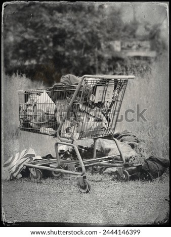An eye level perspective, vintage black and white tin-type style photograph of a homeless person's overflowing shopping cart in a field of dry weeds