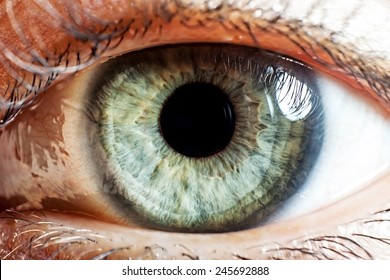 Eye Macro