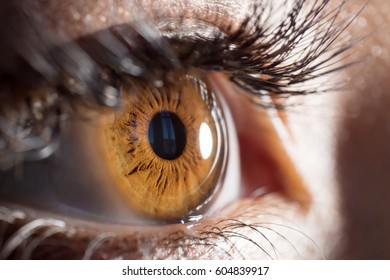 Eye Macro