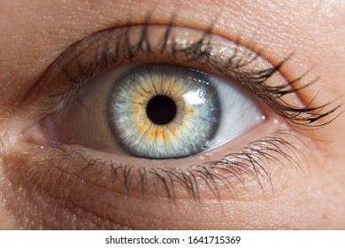 Eye Macro Photography. Beautiful Eyes For Several Uses.