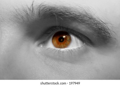 Eye of a Man