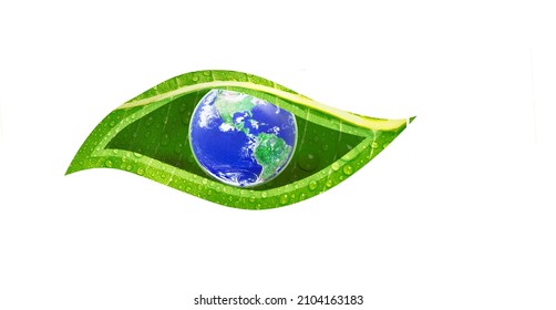 Eye of nature concept, Earth in the middle of green leaf create eye shape on white background, Elements of this image furnished by NASA