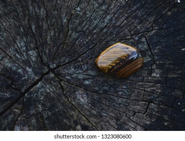 Tiger’s Eye Stone