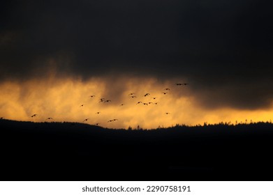 Eye of the storm - As the storm clouds part, the evening sun pokes through to reveal a dramatic eye. Through the eye, flocks of birds begin to land on Holy Island, Northumberland. 