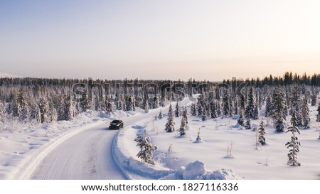 Bird’s eye view of vehicle car moving on rural road having good insurance for winter weather, aerial view of suv automobile driving in scenery area surrounded by coniferous forest
