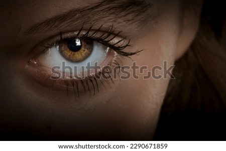 eye of a woman looking straight 