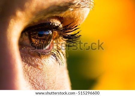 Eye of a woman observing the sunset in a sunflower field