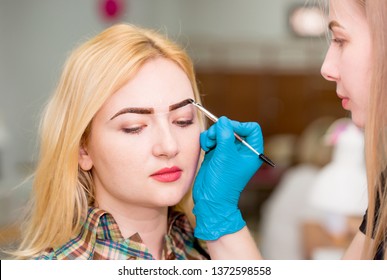 Eyebrow Dyeing. The Master Paints Eyebrows With Henna To A Beautiful Girl, Paints With A Brush In The Salon Of A Beautician-makeup Artist. Brow Architecture.