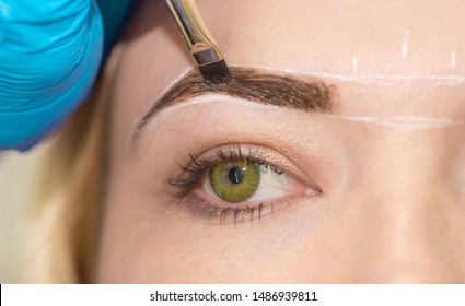 Eyebrow Dyeing. The Master Paints Eyebrows With Henna To A Beautiful Girl, Paints With A Brush In The Salon Of A Beautician-makeup Artist. Brow Architecture.