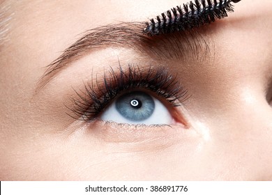 Eyebrow Makeup With Brush  
