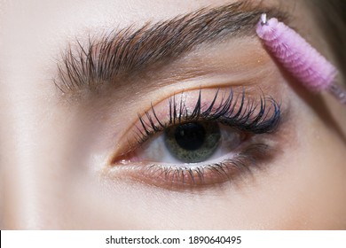 Eyebrow Makeup. Woman Brushing Brows With Brush. Beautiful Girl With Green Eyes And Perfect Brows Close Up