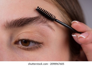 Eyebrow Makeup. Woman Brushing Brows With Brows Brush Closeup. Macro Close Up Of Brows.