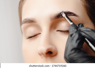 Eyebrow tint, master correction of brow hair women.