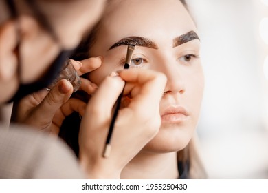 Eyebrow Tint, Master Correction Of Brow Hair Women In Beauty Salon.