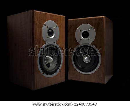 Eye-catching speaker photo. Could be used as an advertisement, product photo, landing page photo