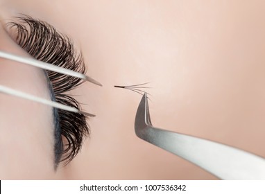 Eyelash extension procedure close up. Beautiful Woman with long lashes in a beauty salon.