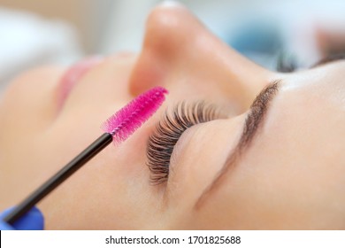 Eyelash extension procedure close up. Beautiful woman with long eyelashes in a beauty salon. Makeup concept