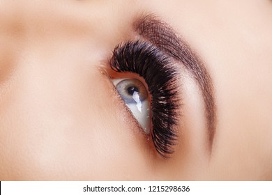 Eyelash Extension Procedure. Woman Eye with Long Eyelashes. Close up, selective focus. Hollywood, russian volume - Shutterstock ID 1215298636