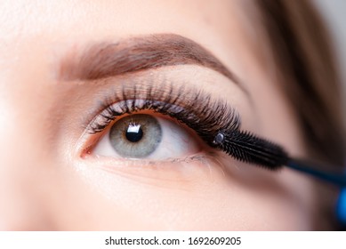 Eyelash Extension Procedure. Woman Eye With Long Eyelashes. Lashes, Close Up, Macro, Selective Focus.