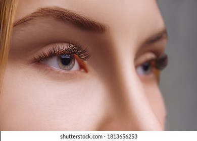 Eyelash Extension Procedure. Woman Eye with Long Eyelashes. Close up, selective focus. - Shutterstock ID 1813656253