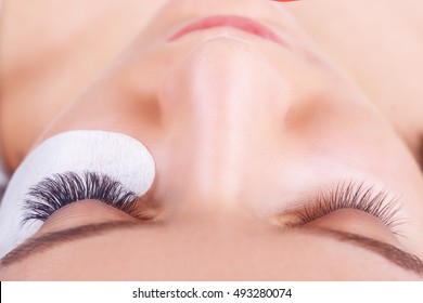 Eyelash Extension Procedure. Woman Eye With Long Eyelashes. Lashes, Close Up, Selected Focus.