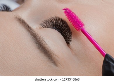 Eyelash Extension Procedure. Woman Master Combs Lashes 5d