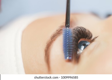 Eyelash Extension Procedure.Close up view of beautiful blue Woman Eye with Long Eyelashes. Stylist holding brush and making lengthening lashes for girl in a beauty salon.