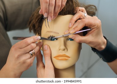 Eyelash Extensions Training Course In Cosmetology Beauty Esthetic Center.  Female Students Practicing On Silicone Mannequin Head 