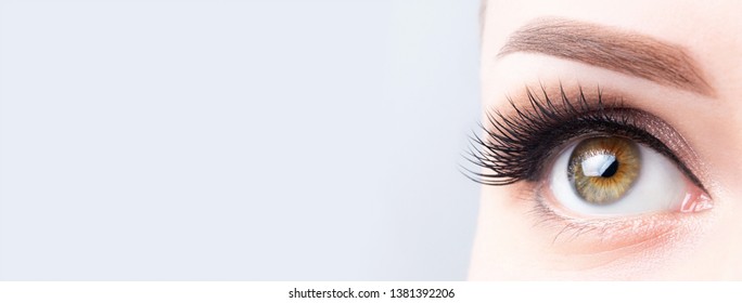 Eyelash lamination, extensions, microblading, tattoo, permanent, cosmetology, ophthalmology banner or background. Eye with long eyelashes, beautiful makeup and light brown eyebrow.