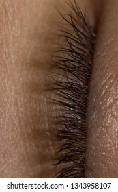 eyelashes close up