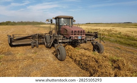 A eye-level photograph capturing a self-propelled windrower swather moving across a harvested field, forming neat windrows of dry crop fodder.