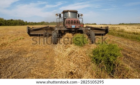 A eye-level photograph capturing a self-propelled windrower swather moving across a harvested field, forming neat windrows of dry crop fodder.